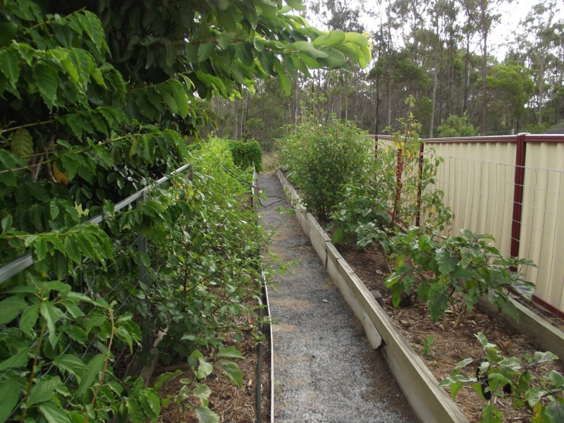 10 Cockatoo Court, Apple Tree Creek QLD 4660