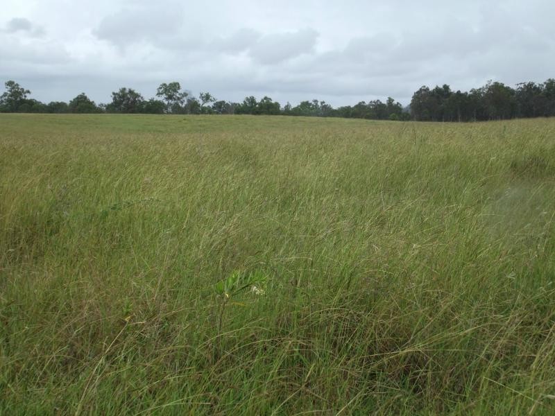 Wallaville QLD 4671