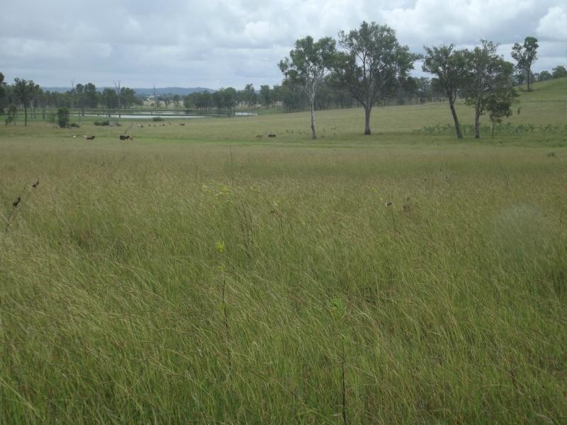 Wallaville QLD 4671