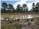 Wallaville QLD 4671