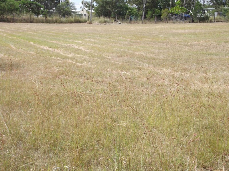 Lot 22 Queen Street, Dallarnil QLD 4621