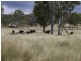 8049 Isis Highway, Dallarnil QLD 4621