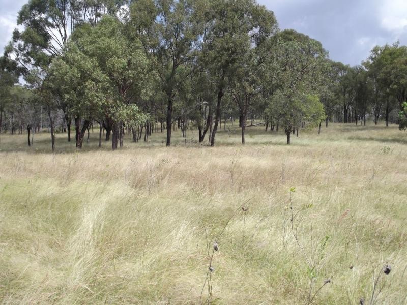 8049 Isis Highway, Dallarnil QLD 4621