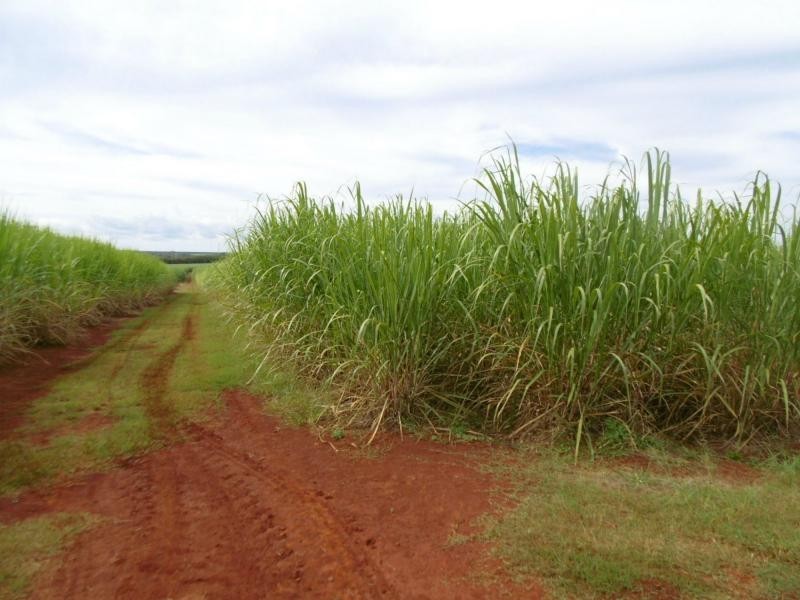 14 Kellys Road, Childers, North Isis QLD 4660