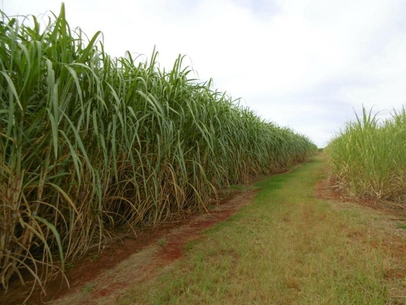 14 Kellys Road, Childers, North Isis QLD 4660