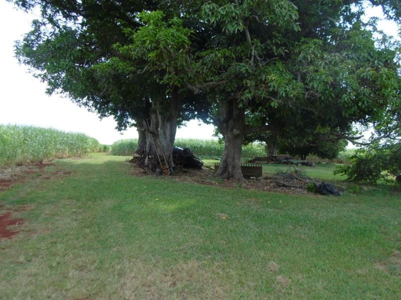 14 Kellys Road, Childers, North Isis QLD 4660