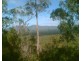 719 Berries Road, Kullogum QLD 4660