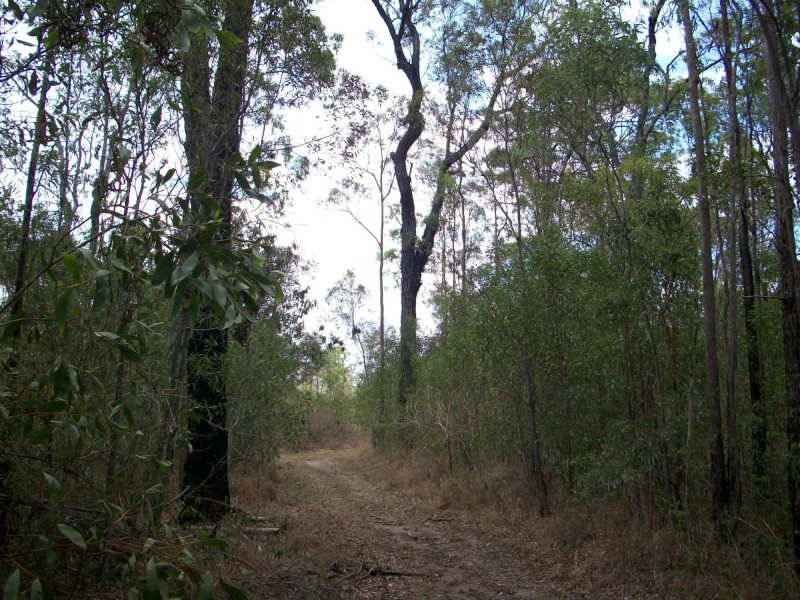 719 Berries Road, Kullogum QLD 4660
