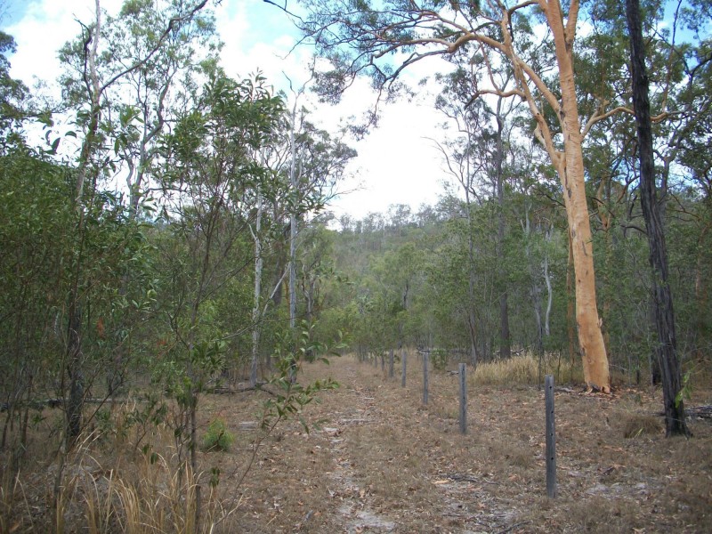 719 Berries Road, Kullogum QLD 4660