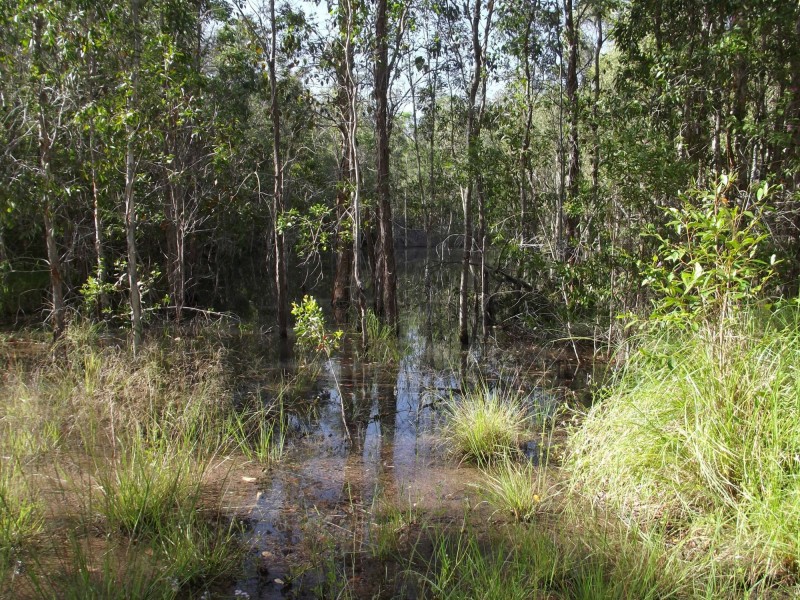 719 Berries Road, Kullogum QLD 4660