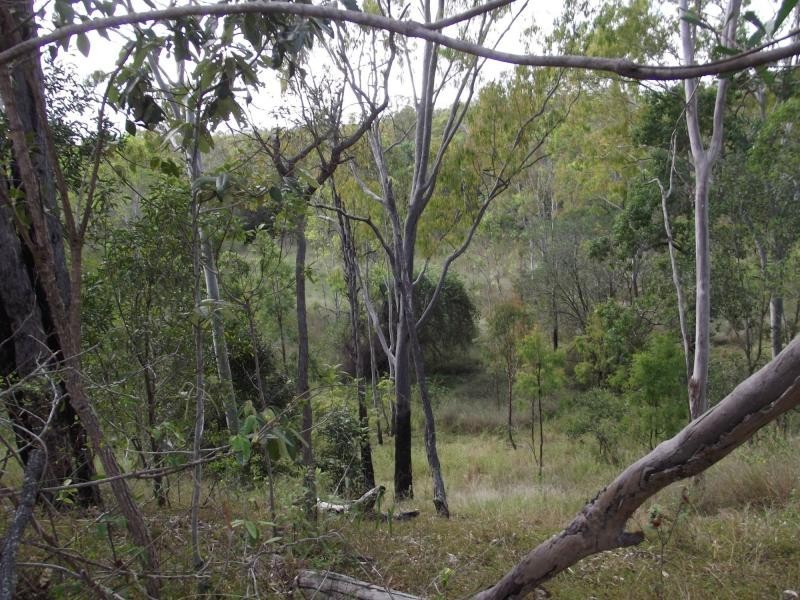 L10 Walla Island Road, Wallaville, Duingal QLD 4671