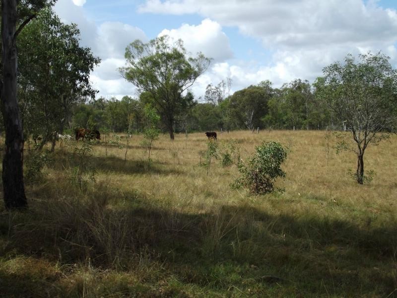 L10 Walla Island Road, Wallaville, Duingal QLD 4671