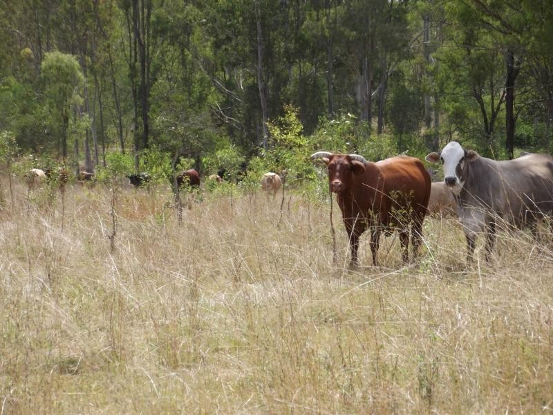 L10 Walla Island Road, Wallaville, Duingal QLD 4671