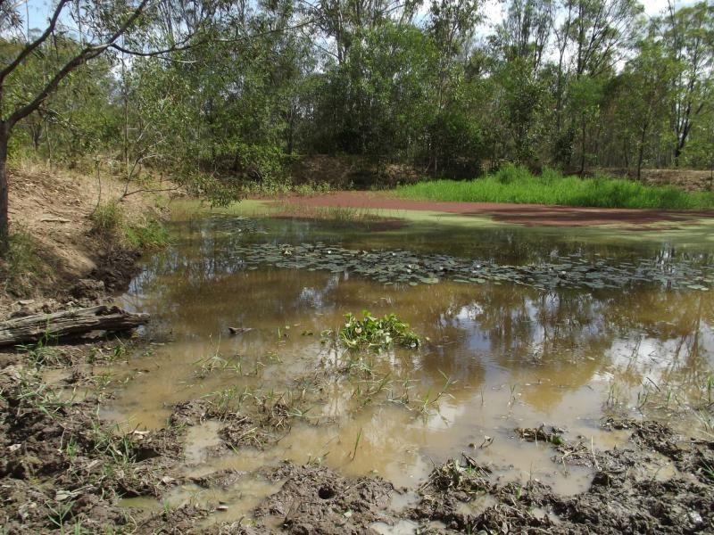 L10 Walla Island Road, Wallaville, Duingal QLD 4671