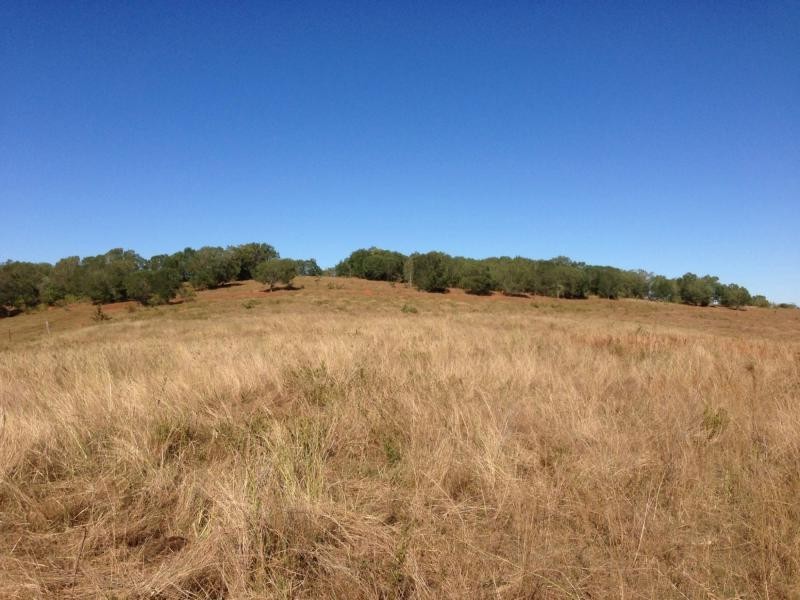Lot 65 Pleash Street, Apple Tree Creek QLD 4660