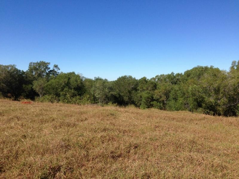 Lot 65 Pleash Street, Apple Tree Creek QLD 4660