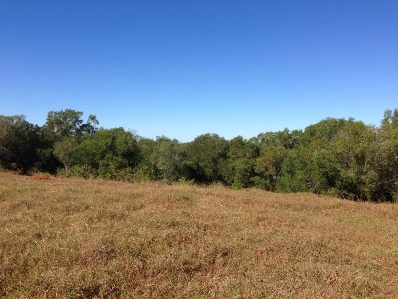 Lot 65 Pleash Street, Apple Tree Creek QLD 4660