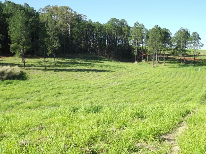 L22 Fieldhead Road, Childers, South Isis QLD 4660