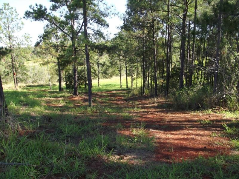 L22 Fieldhead Road, Childers, South Isis QLD 4660
