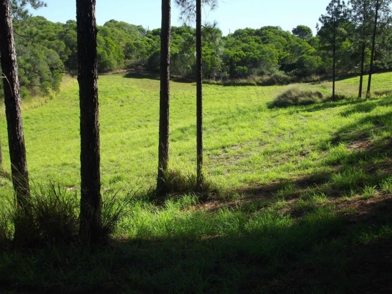 L22 Fieldhead Road, Childers, South Isis QLD 4660