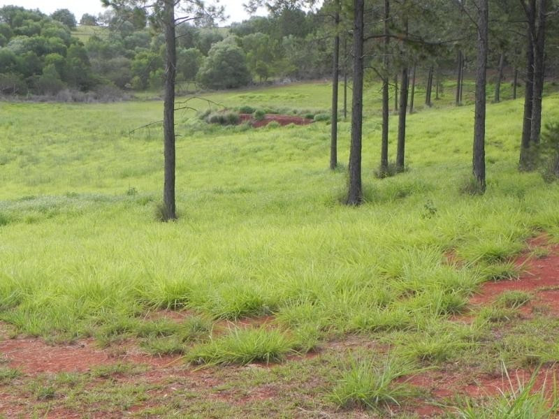 L22 Fieldhead Road, Childers, South Isis QLD 4660
