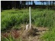 L22 Fieldhead Road, Childers, South Isis QLD 4660