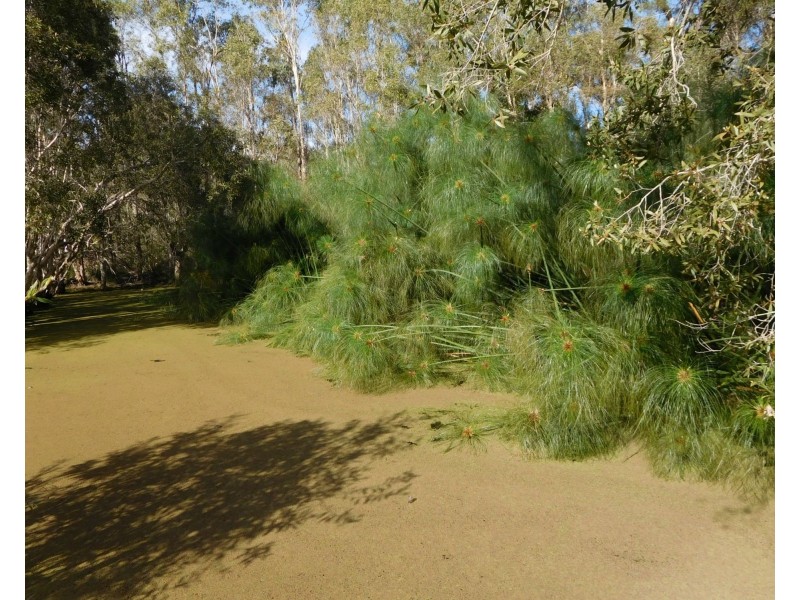 1791 Goodwood Road, Goodwood QLD 4660