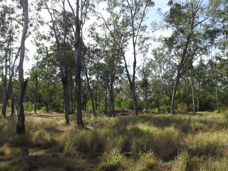 37 Whitebridge Road, North Isis, Childers QLD 4660