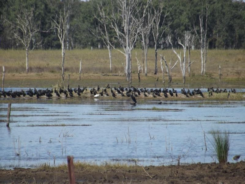 Morganville QLD 4671