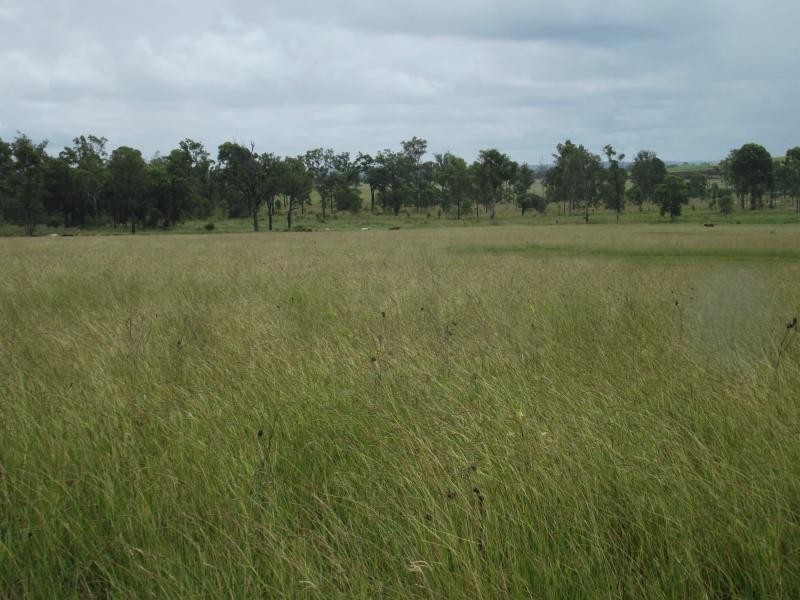 Morganville QLD 4671