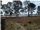 Morganville QLD 4671