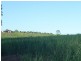142 Abington Road, Childers, Abington QLD 4660