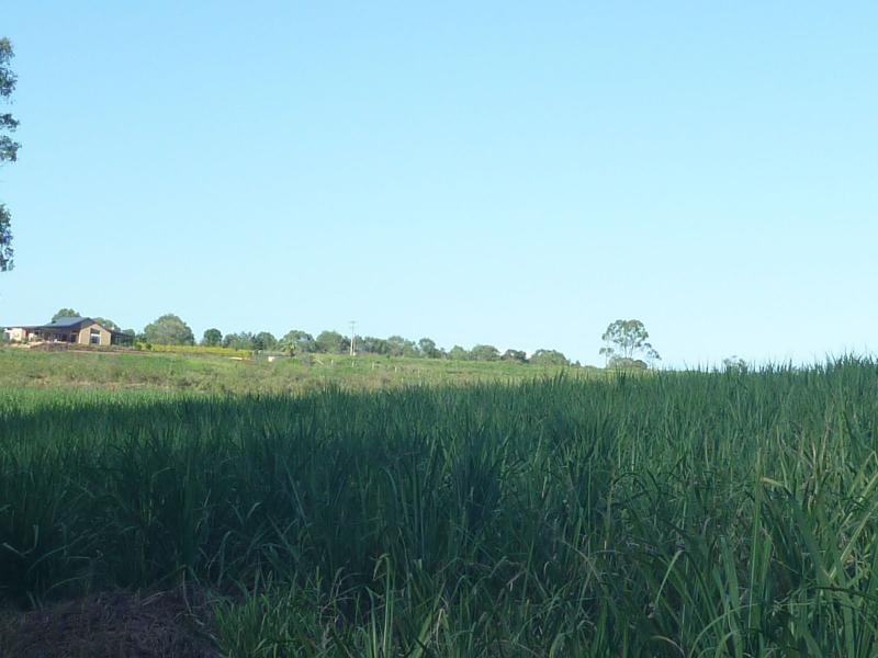 142 Abington Road, Childers, Abington QLD 4660