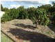 Apple Tree Creek QLD 4660