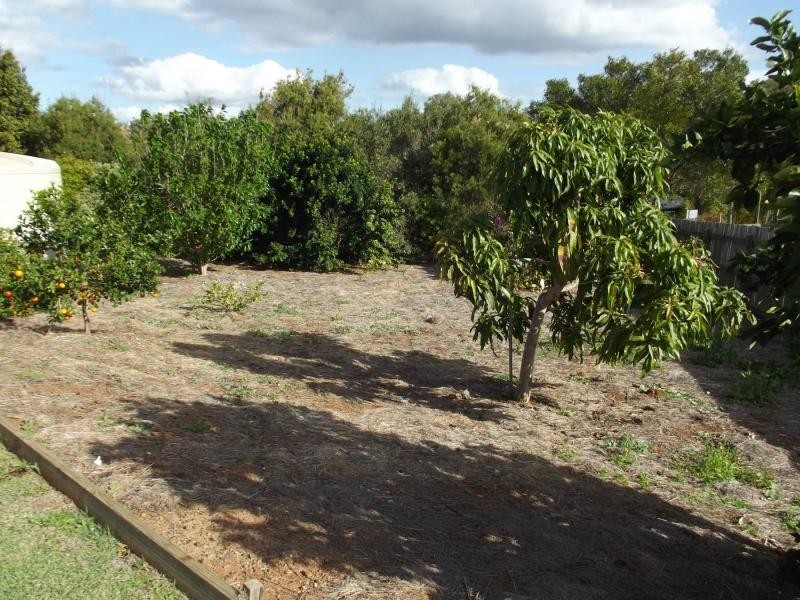 Apple Tree Creek QLD 4660