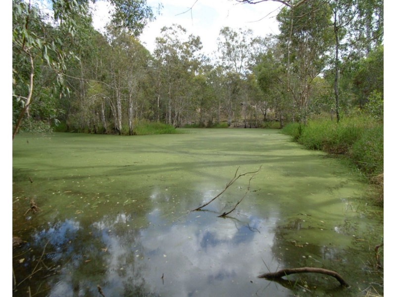 475 Adies Road, Isis Central QLD 4660