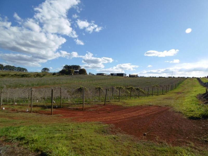 546 Lynwood Road, Childers, North Isis QLD 4660