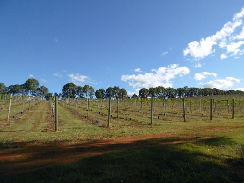 546 Lynwood Road, Childers, North Isis QLD 4660