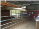 7259 Isis Highway, Eureka QLD 4660