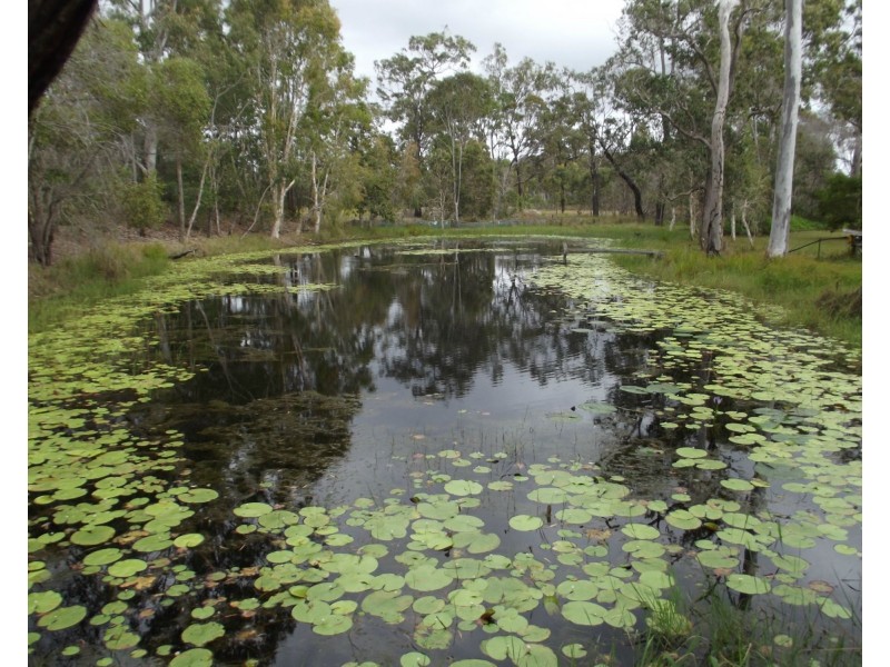 1402 Buxton Road, Buxton QLD 4660