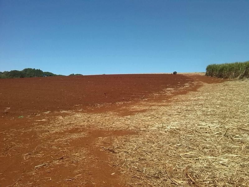 North Isis QLD 4660