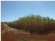 North Isis QLD 4660