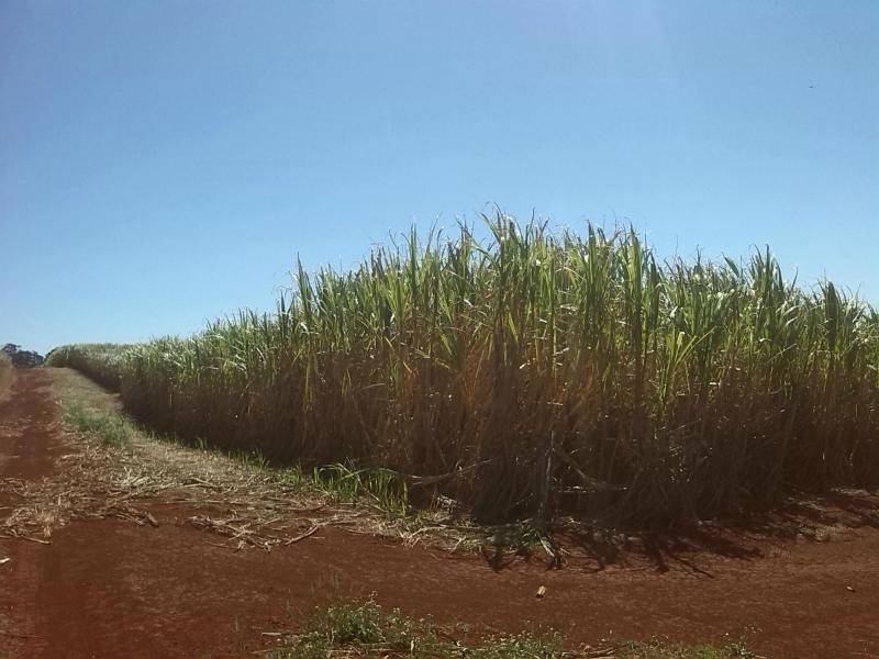 North Isis QLD 4660