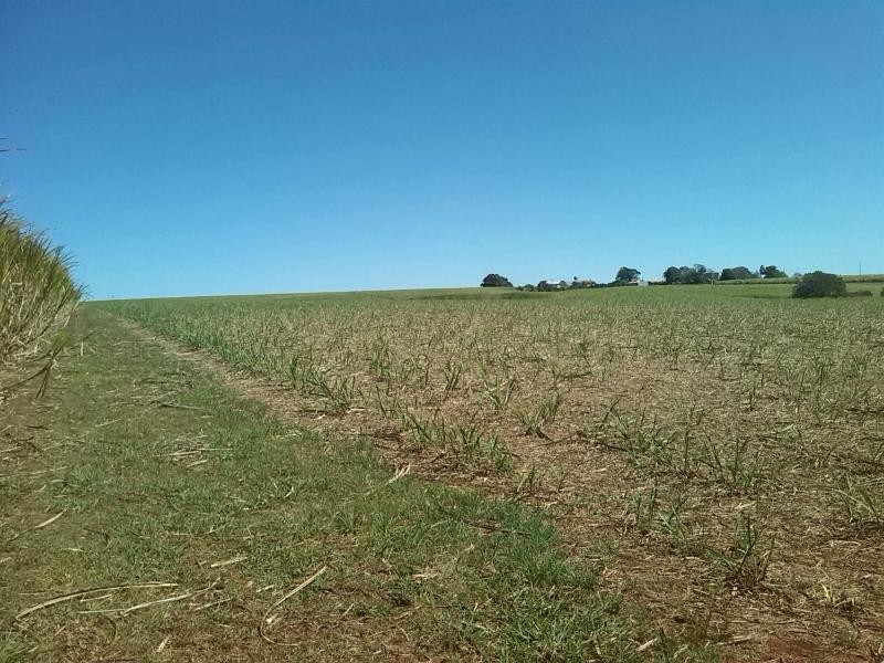 North Isis QLD 4660