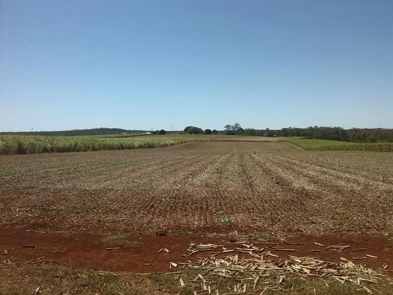 North Isis QLD 4660
