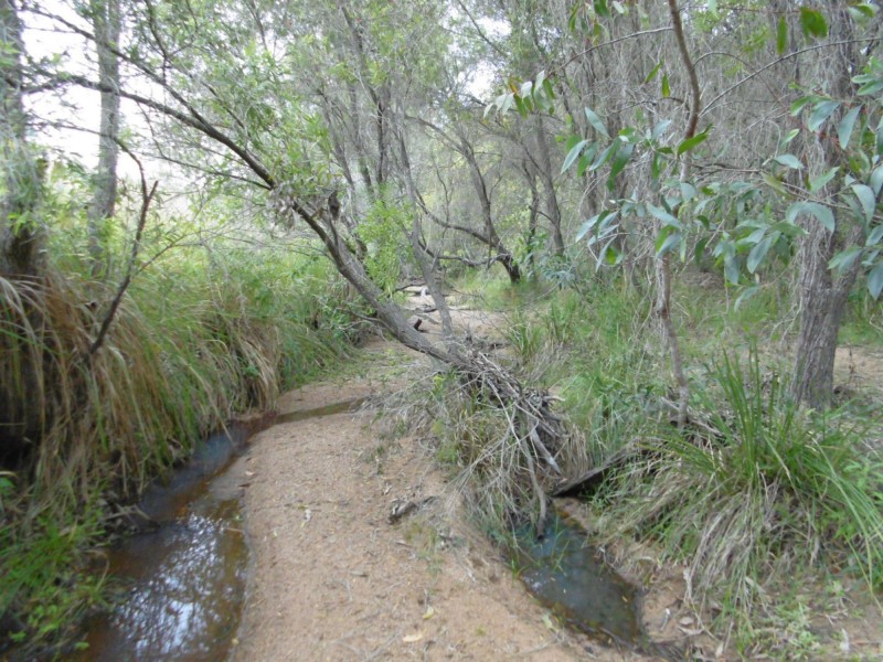 6571 Isis Highway, Eureka QLD 4660