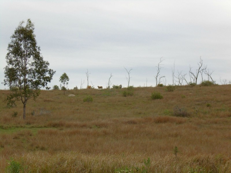 6571 Isis Highway, Eureka QLD 4660