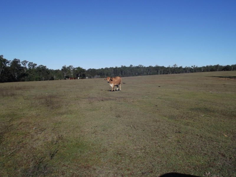 112 Coles Road, Kullogum QLD 4660