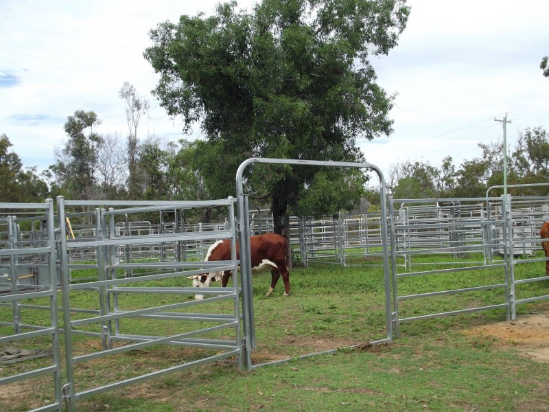 112 Coles Road, Kullogum QLD 4660