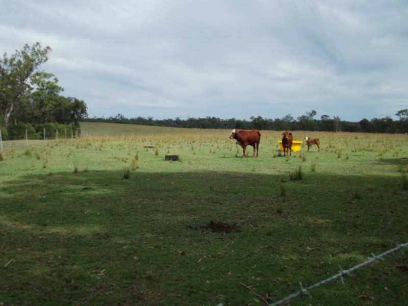 112 Coles Road, Kullogum QLD 4660